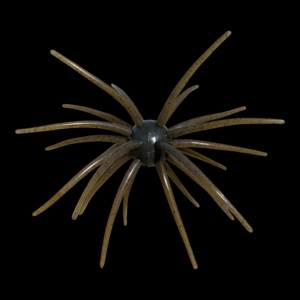 25mm Urchin Pre-Order